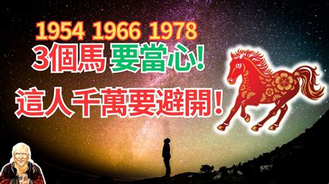 1978 屬|1978年生肖馬的一生